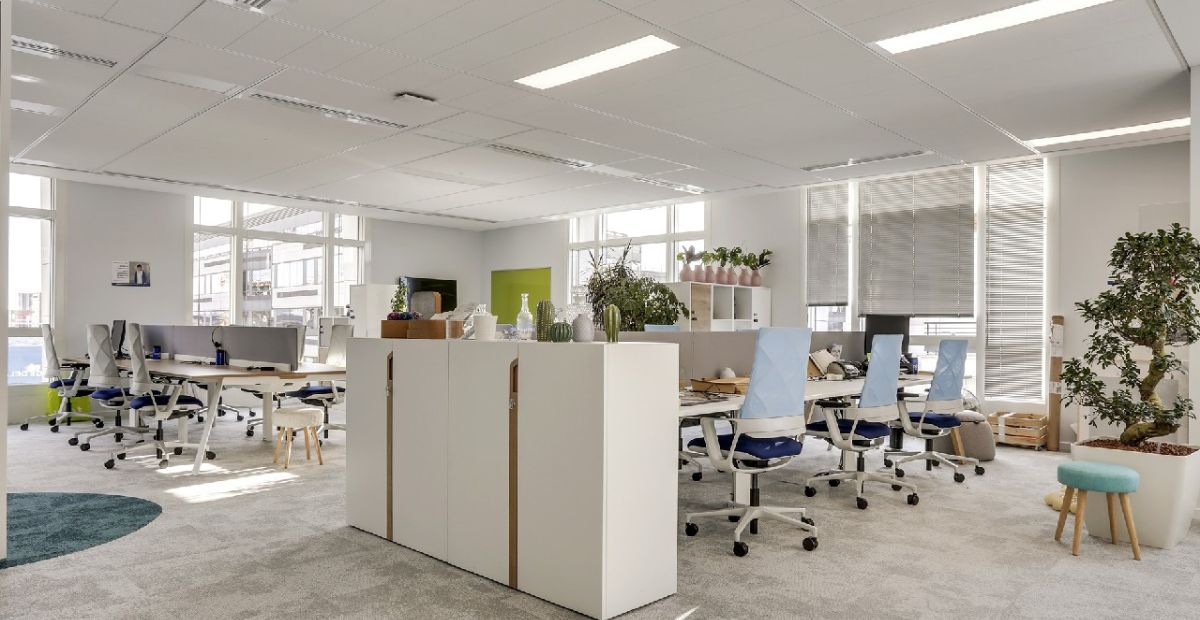 Phân Khu Chức Năng Rõ Ràng – Tiêu Chuẩn Thiết Kế Nhà Văn Phòng Hiệu Quả